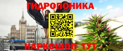 a pvp Ярцево